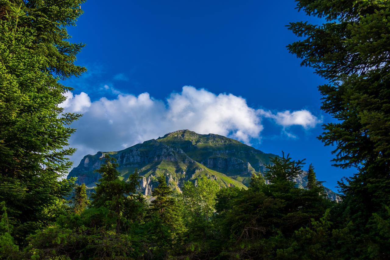 Anavasi Mountain Resort Πράμαντα Εξωτερικό φωτογραφία